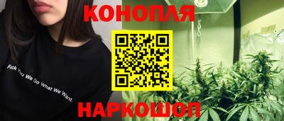 СК Донецк