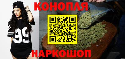 СК Донецк