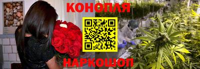хмурый Дубна