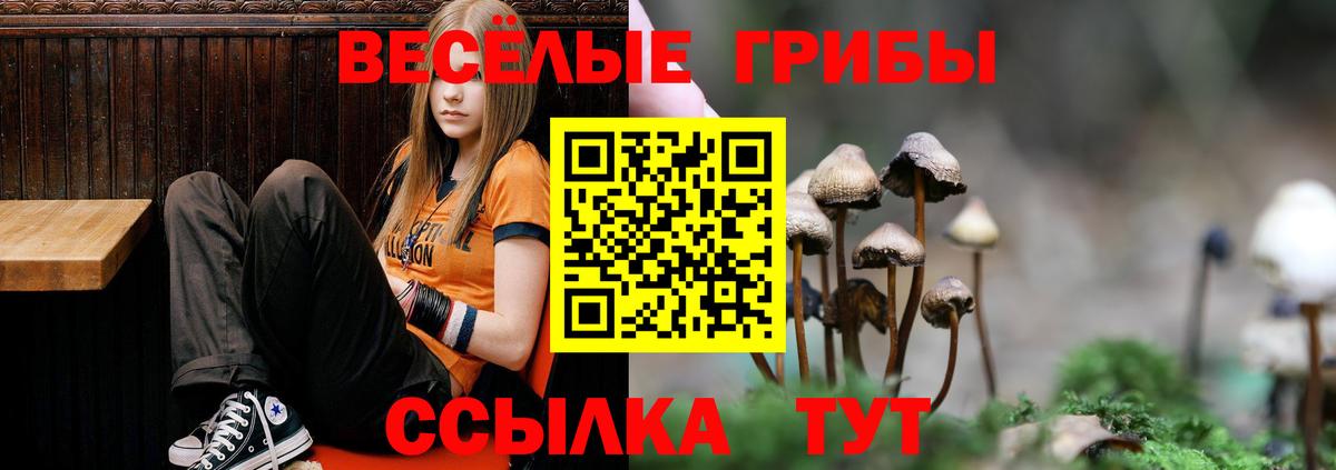 Галлюциногенные грибы мухоморы Каменск-Шахтинский